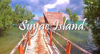 SUYAC ISLAND MANGROVE ECO-PARK TRAVEL GUIDE