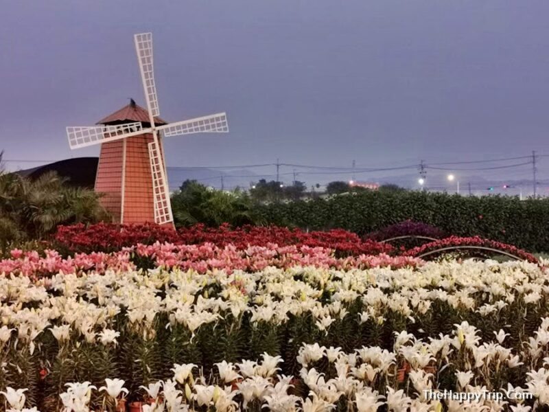 Houli Flower Farm Travel Guide Must Visit In Taichung Taiwan